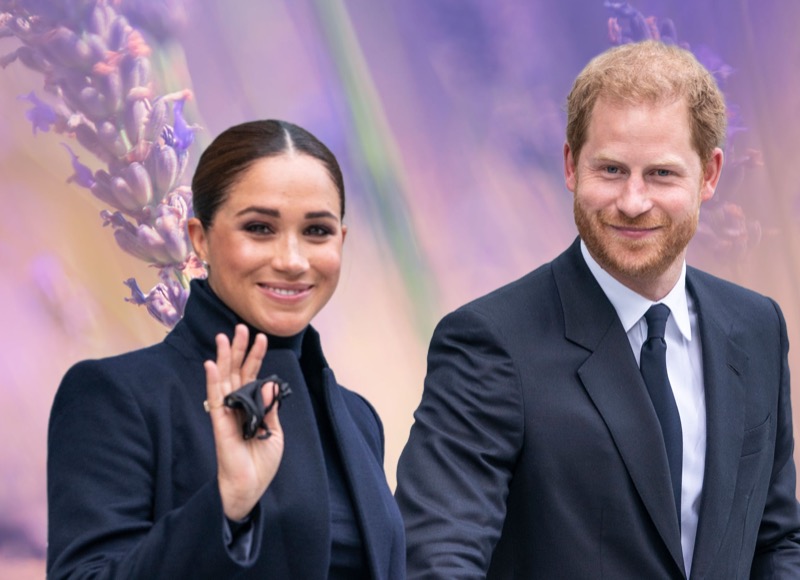 Archie And Lilibet Denied Their Royal Rights By Prince Harry And Meghan