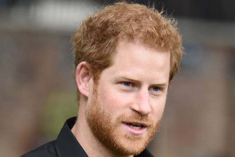 Prince Harry Has No Clout In America