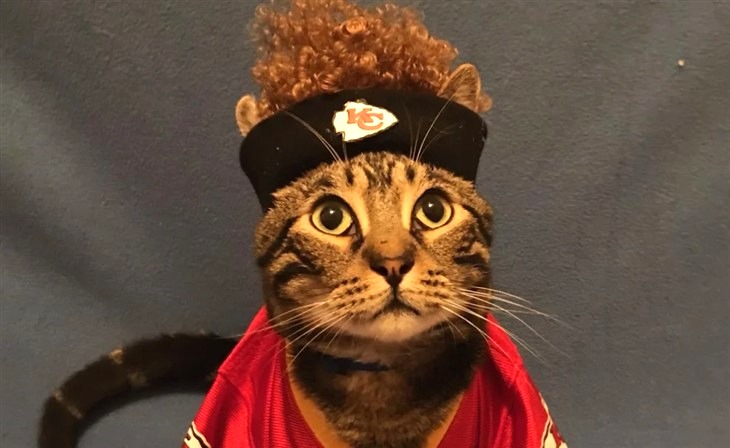 Hallmark Channel News: Get Ready For A Paws-Itively Charming Twist In Hallmark Channel's Kansas City Chiefs Christmas Movie With Catrick Mahomes!