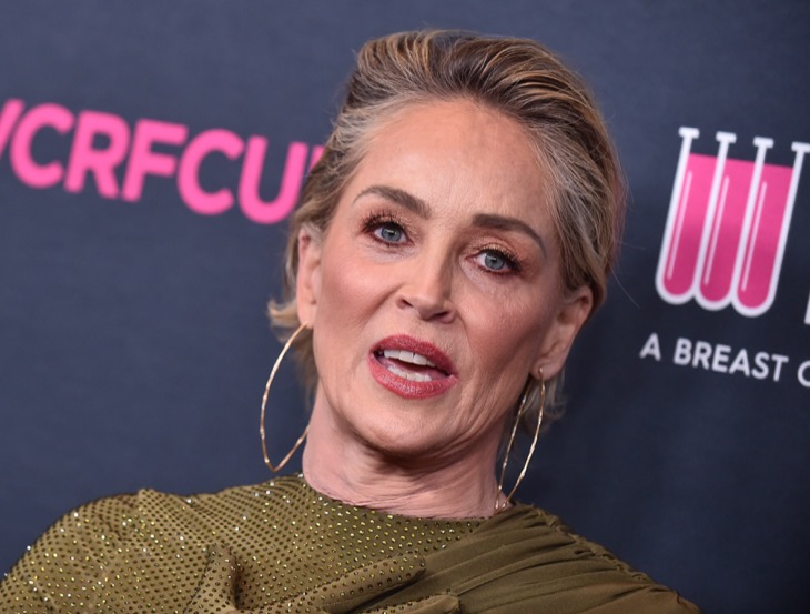 Sharon Stone Reveals Black Eye And How She Got It