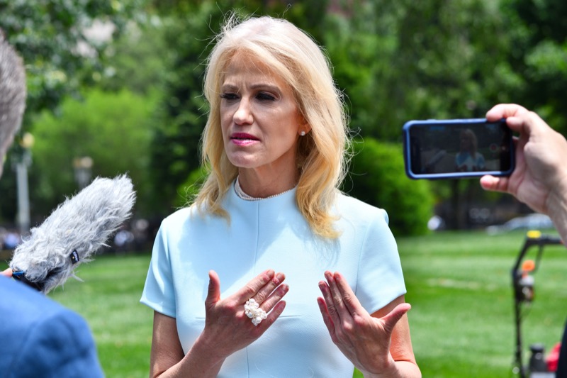 Here’s What Critics Really Think Of Kellyanne Conway