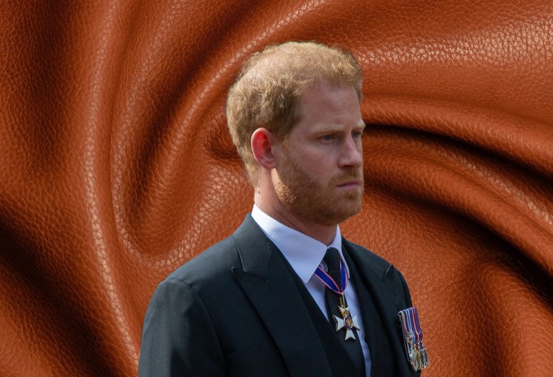 Prince Harry To Apologize For His Cocaine Use?