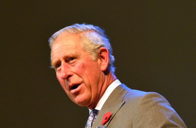 King Charles Feels Disappointed With Both Prince William And Harry