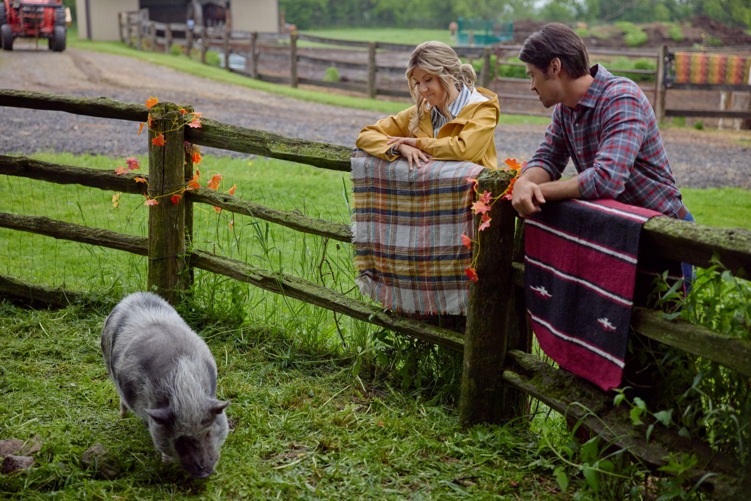 Spartacus the Pig plays Gillian the Pig