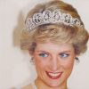 Princess Diana’s Family Desperately Trying To Bring Prince William And Harry Together