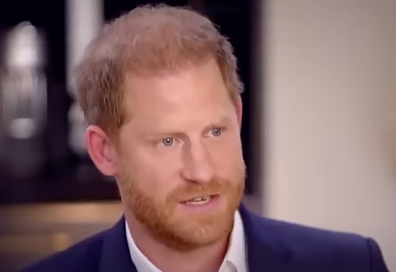 Prince Harry Encouraged To Get A Full-Time Job