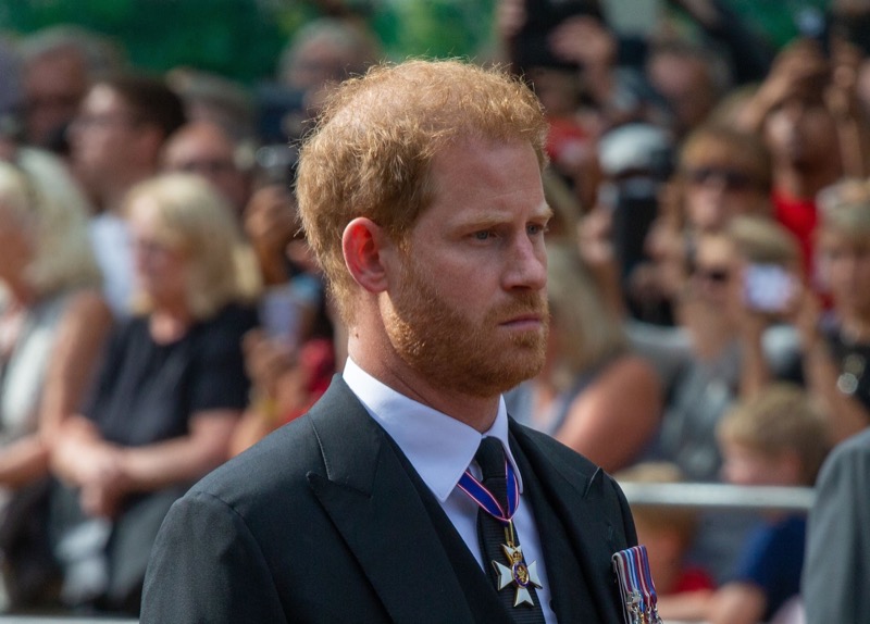 Royal Photographer Reveals How Prince Harry Can Turn His LOSER Image In America Around