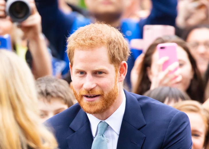 Prince Harry Is Tired Of The Royal Family And Their Games