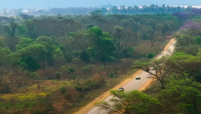 Footage From The Grand Tour - One For The Road - Zimbabwe - Amazon Prime