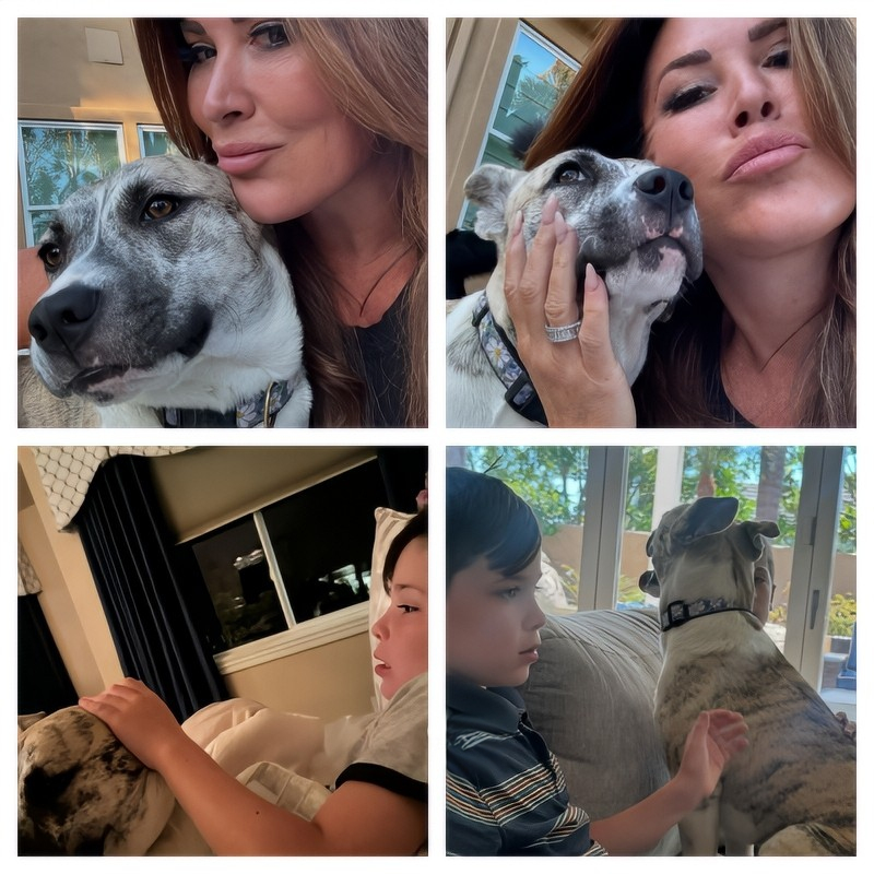 Emily Simpson's Rescue Pup Gets A Lot Of Love - Instagram