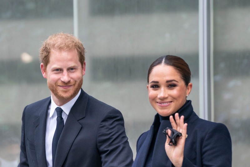 Prince Harry And Meghan Markle’s Professional Future Is Now In Limbo