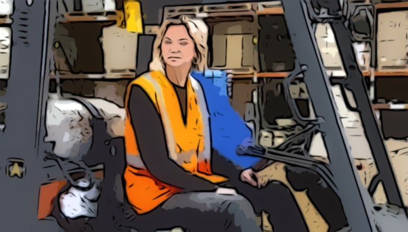 Chrisley Knows Best Fans Can't Imagine Julie Driving A Forklift - BeFunky - Pixabay