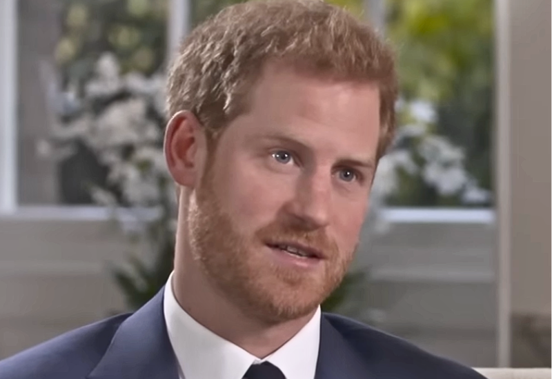 Prince Harry Has A New Career In Mind