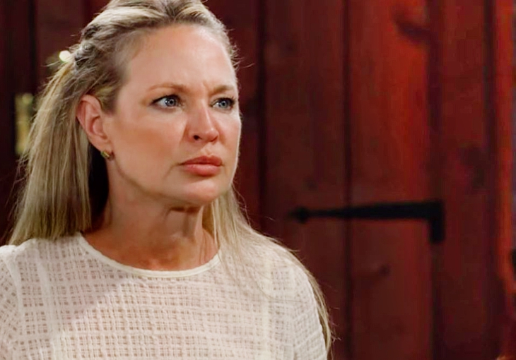 The Young And The Restless Spoilers: Security Camera Footage Comes Back To Bite Sharon?