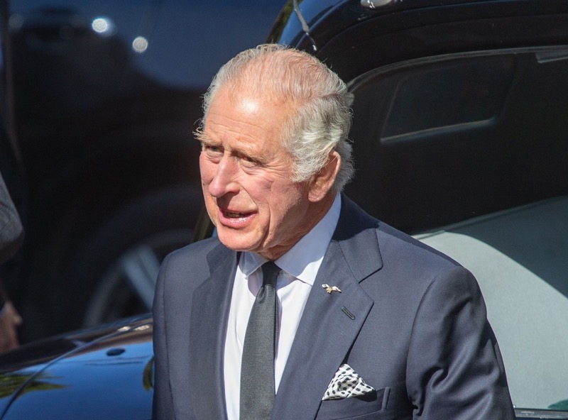 King Charles Wants Prince Harry To Intervene About This Matter Immediately