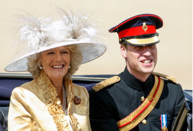 Prince William Tag-Teams With Queen Camilla To Stop Prince Harry Reunion