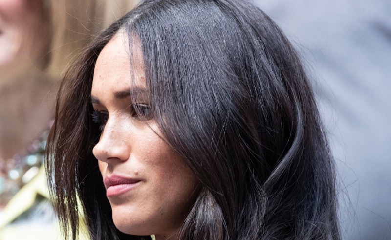 Meghan Markle Wanted To Be The First PAID Royal