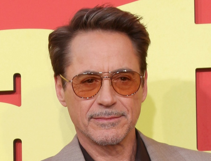 Robert Downey Jr Offers This Stark Advice To Billionaire Elon Musk