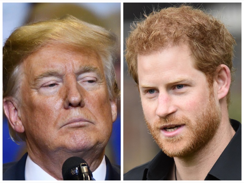 How Soon Might Donald Trump Take Action to Deport Prince Harry?