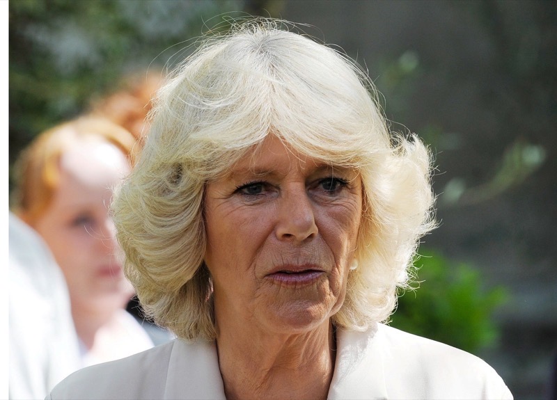 What’s Behind Queen Camilla’s Feud With Meghan Markle?