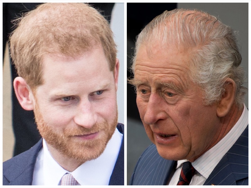 Here’s What You Need To Know About King Charles And Prince Harry’s Ongoing Feud