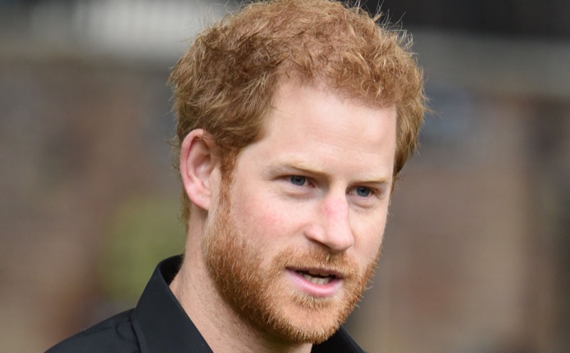 Prince Harry’s New Show About Polo Is Getting The Worst Ratings