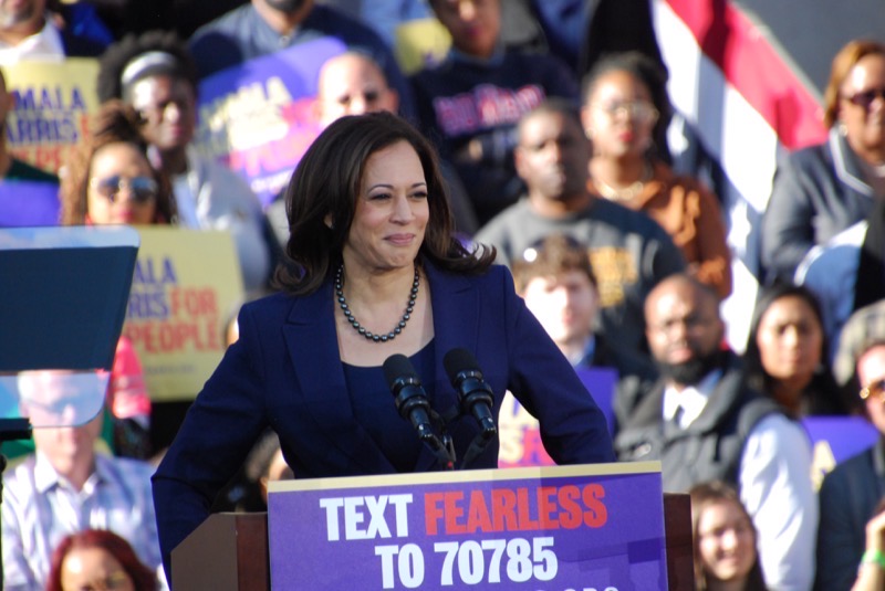 Things About Kamala Harris That Doesn't Make Sense