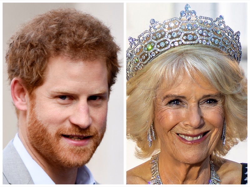 Queen Camilla & Prince Harry Trade Spots As Most “Despised” Royal