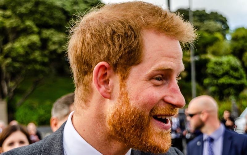 Prince Harry Told He Has No Place In The Monarchy