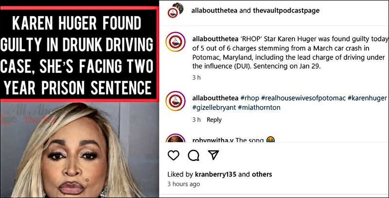 Real Housewives Of Potomac - Karen Huger Guilty Of DUI - Instagram