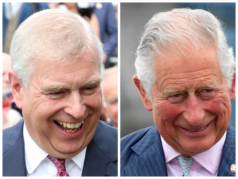 Are Things Really That Bad Between Prince Andrew And King Charles? 