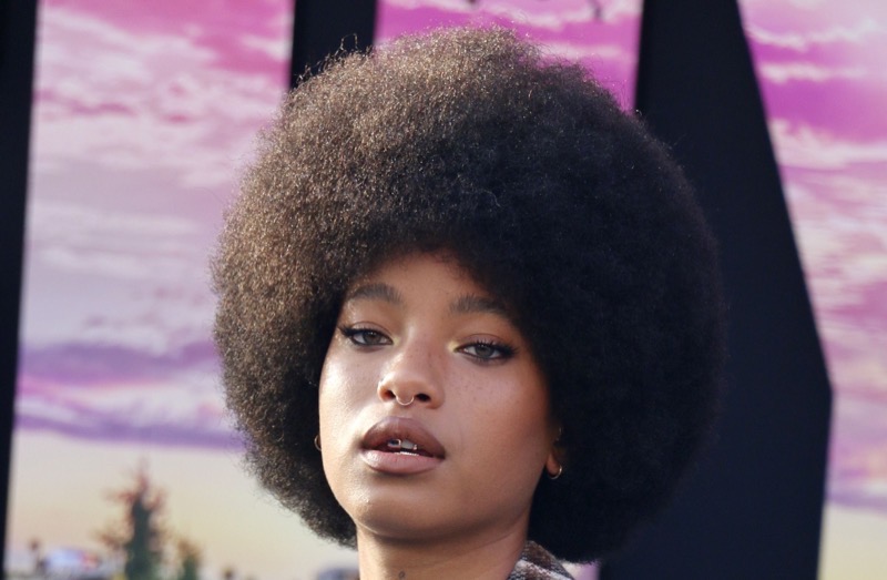 Willow Smith Shares Meaningful Message on 'Symptom of Life'