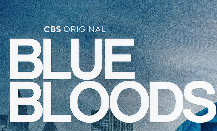 Is a Blue Bloods Spinoff Coming? Here's What We Know!