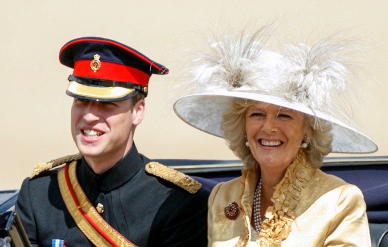 Prince William & Queen Camilla All In On Keeping Prince Harry From A Royal Role?