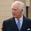 King Charles Slammed For Not Thinking Of His Grandchildren