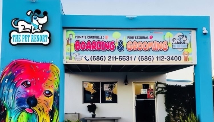 Kenny and Armando Upgraded Their Pet Resort – Instagram