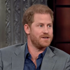 Prince Harry Defying Diana, Not Living a Life of Service