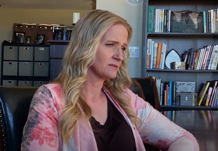Will Christine Brown's New Book Kill Sister Wives For Good?