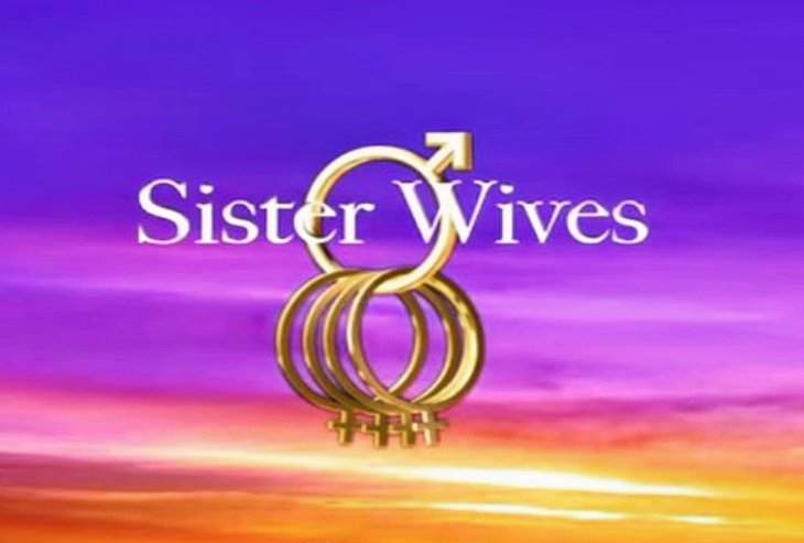'Sister Wives' Fans Call The Brown Family 'Bad Actors'