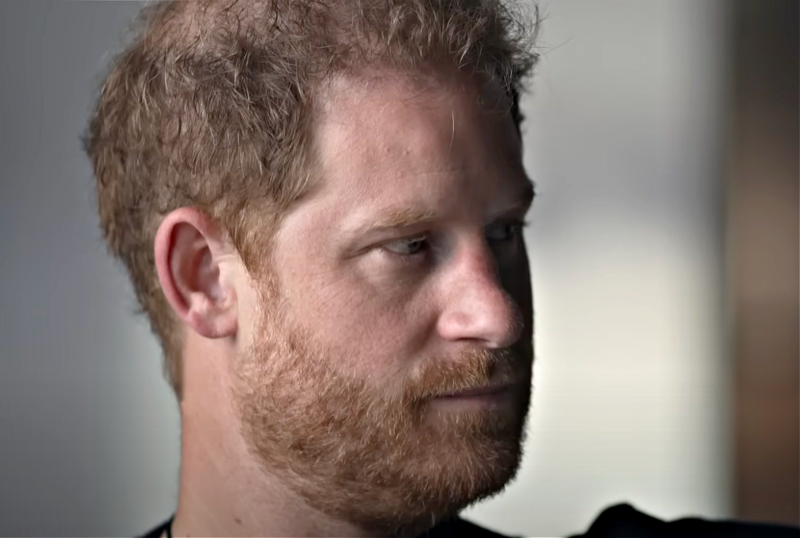 Meghan Markle Releases 'Glee' Filled California Wildfire Video