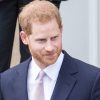 Prince Harry's Children Archie And Lilibet's Photos Leaked To The Public