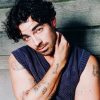 Why Joe Jonas Name Dropped Lisa Rinna On SNL