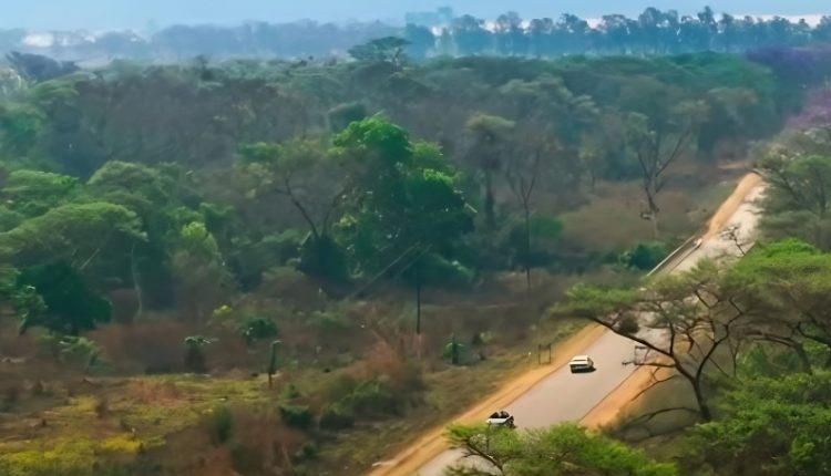 Scenery in Zimbabwe on the finale – Amazon