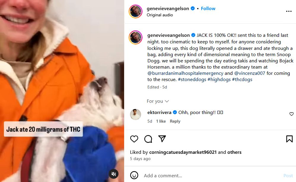 The Chicken Sisters star Genevieve Angelson and her stoned dog, Jack