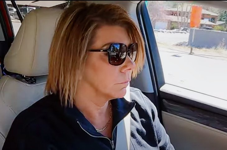 Sister Wives' Meri Brown Finally Opens Up About the Cruelty She Received From Kody Post-Divorce