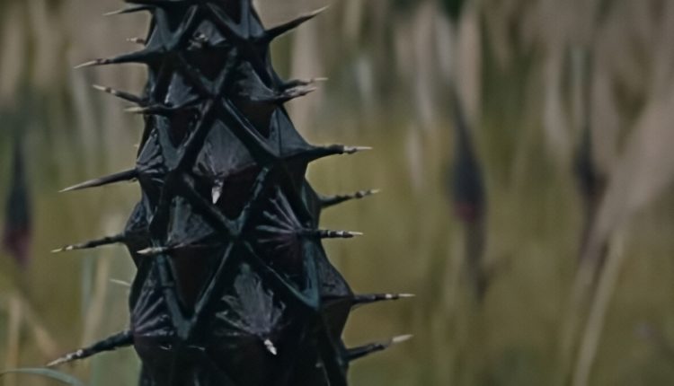 An unfriendly environment – 20th Century Studios – YouTube