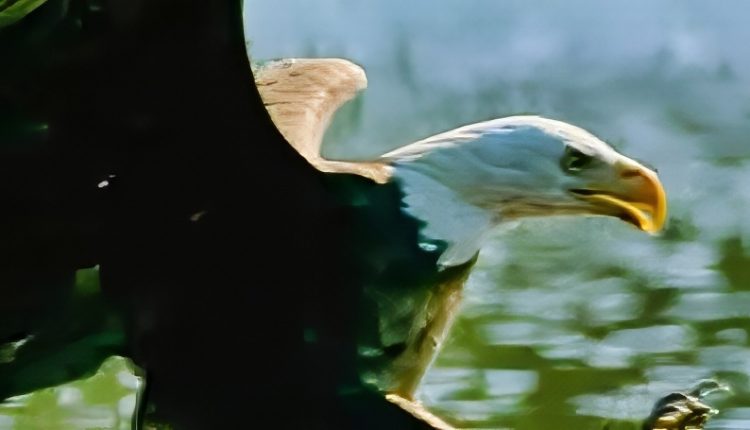 Stunning videography – NBC – YouTube