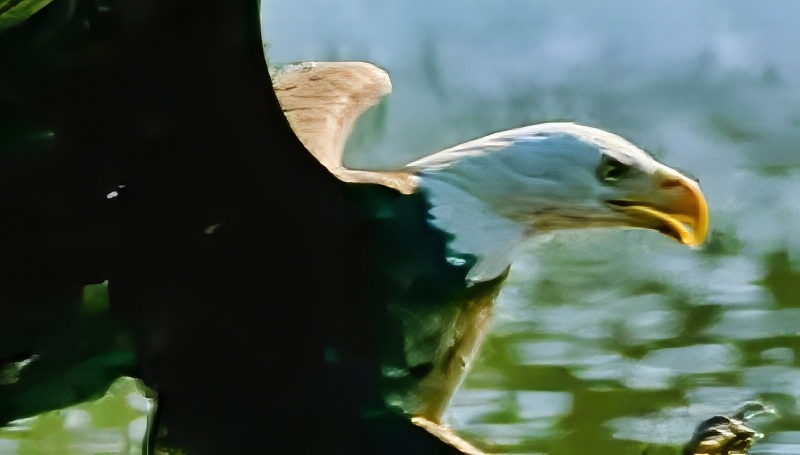 Stunning videography - NBC - YouTube
