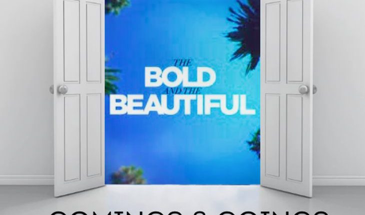 The Bold And The Beautiful