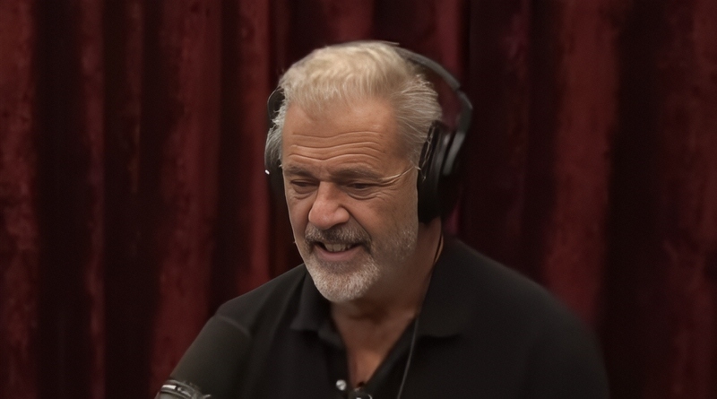 Mel on Joe Rogan's podcast - YouTube